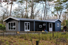 2-6p Kindvriendelijk chalet De Boskabouter, op de Veluwe